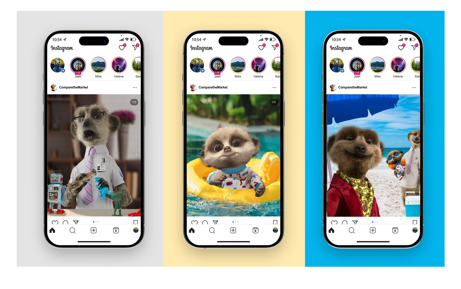 Three phone mockups showing Instagram posts of the meerkats on different adventures.